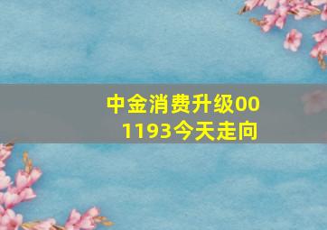 中金消费升级001193今天走向