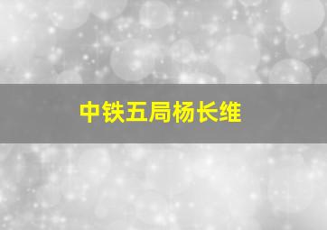 中铁五局杨长维