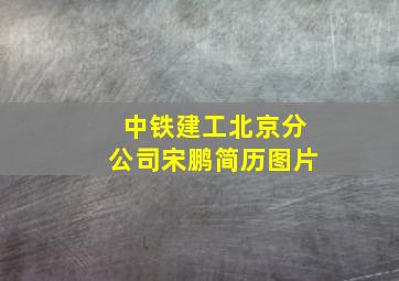 中铁建工北京分公司宋鹏简历图片