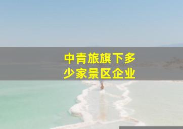 中青旅旗下多少家景区企业