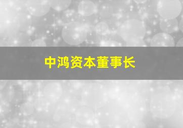 中鸿资本董事长