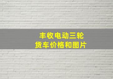 丰收电动三轮货车价格和图片