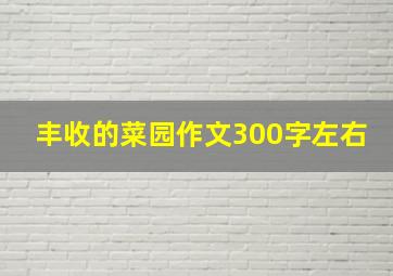 丰收的菜园作文300字左右