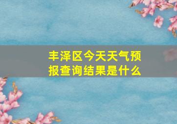 丰泽区今天天气预报查询结果是什么