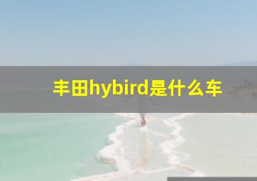 丰田hybird是什么车