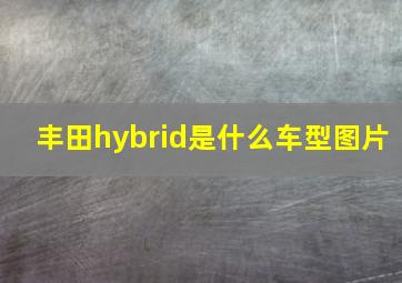 丰田hybrid是什么车型图片