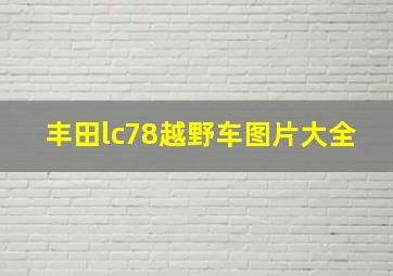 丰田lc78越野车图片大全