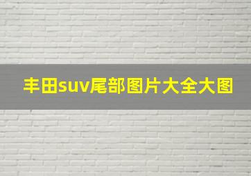 丰田suv尾部图片大全大图