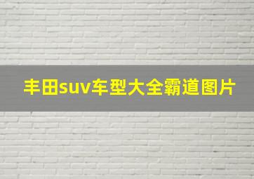 丰田suv车型大全霸道图片