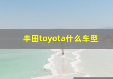 丰田toyota什么车型