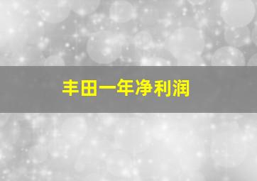 丰田一年净利润