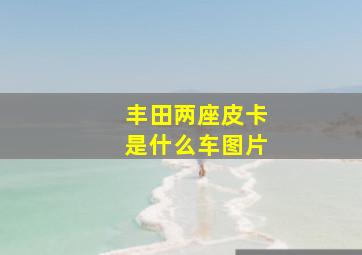 丰田两座皮卡是什么车图片