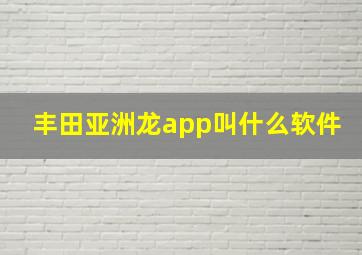 丰田亚洲龙app叫什么软件