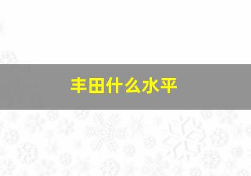 丰田什么水平