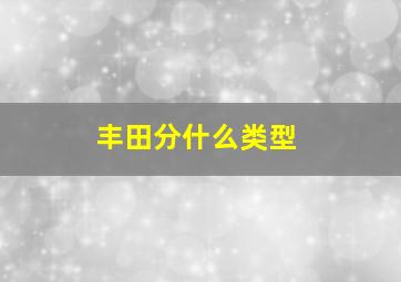 丰田分什么类型