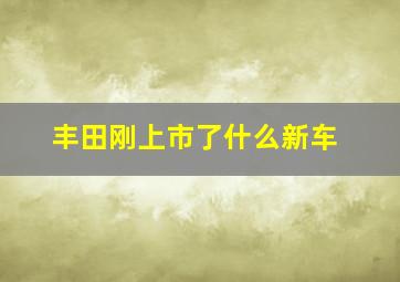 丰田刚上市了什么新车