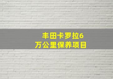 丰田卡罗拉6万公里保养项目