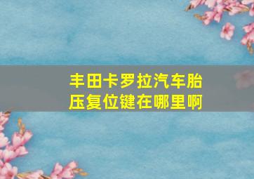 丰田卡罗拉汽车胎压复位键在哪里啊