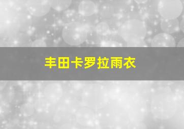 丰田卡罗拉雨衣