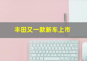 丰田又一款新车上市