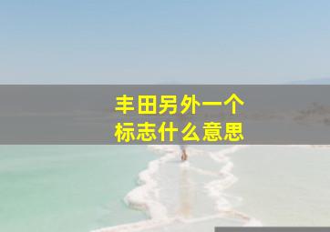 丰田另外一个标志什么意思