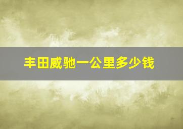 丰田威驰一公里多少钱