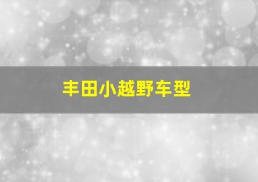 丰田小越野车型