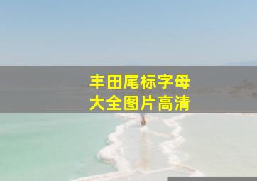 丰田尾标字母大全图片高清