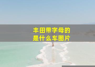 丰田带字母的是什么车图片