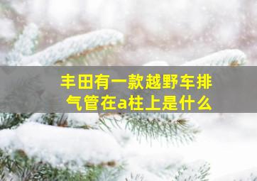 丰田有一款越野车排气管在a柱上是什么