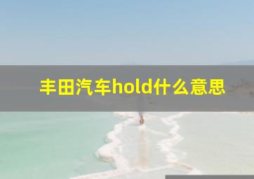 丰田汽车hold什么意思