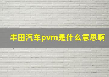 丰田汽车pvm是什么意思啊