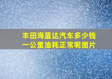 丰田海蓝达汽车多少钱一公里油耗正常呢图片