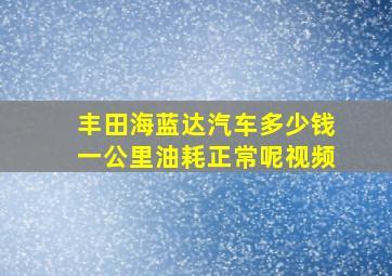 丰田海蓝达汽车多少钱一公里油耗正常呢视频