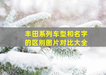 丰田系列车型和名字的区别图片对比大全