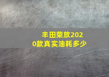 丰田荣放2020款真实油耗多少