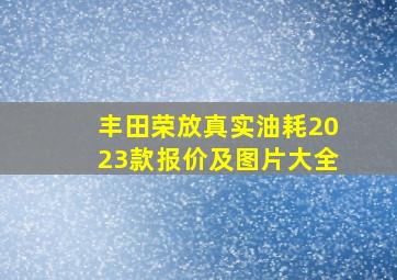 丰田荣放真实油耗2023款报价及图片大全