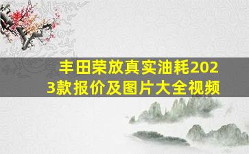 丰田荣放真实油耗2023款报价及图片大全视频