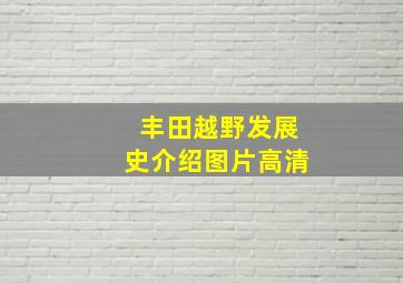 丰田越野发展史介绍图片高清