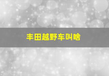 丰田越野车叫啥