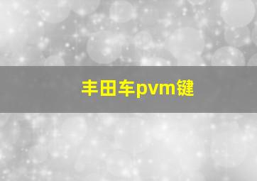 丰田车pvm键