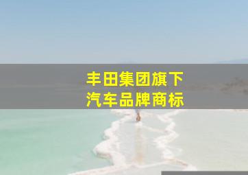 丰田集团旗下汽车品牌商标