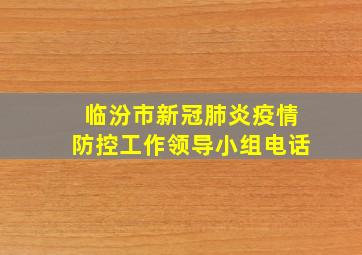 临汾市新冠肺炎疫情防控工作领导小组电话