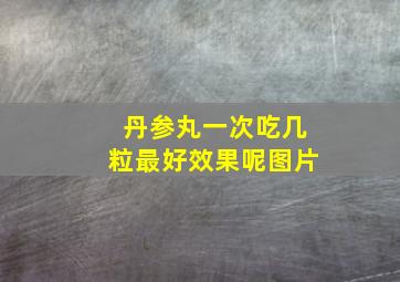 丹参丸一次吃几粒最好效果呢图片