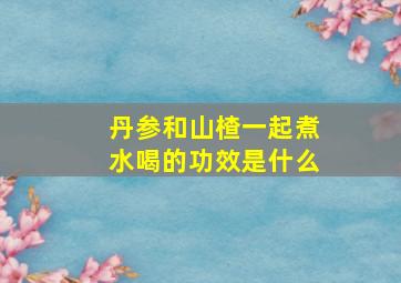 丹参和山楂一起煮水喝的功效是什么