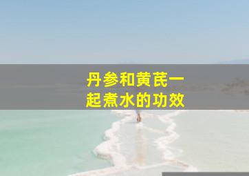 丹参和黄芪一起煮水的功效