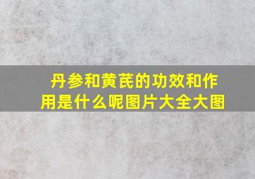 丹参和黄芪的功效和作用是什么呢图片大全大图