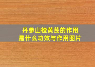 丹参山楂黄芪的作用是什么功效与作用图片