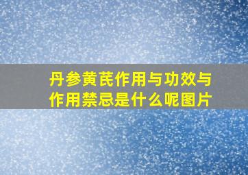 丹参黄芪作用与功效与作用禁忌是什么呢图片