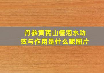 丹参黄芪山楂泡水功效与作用是什么呢图片